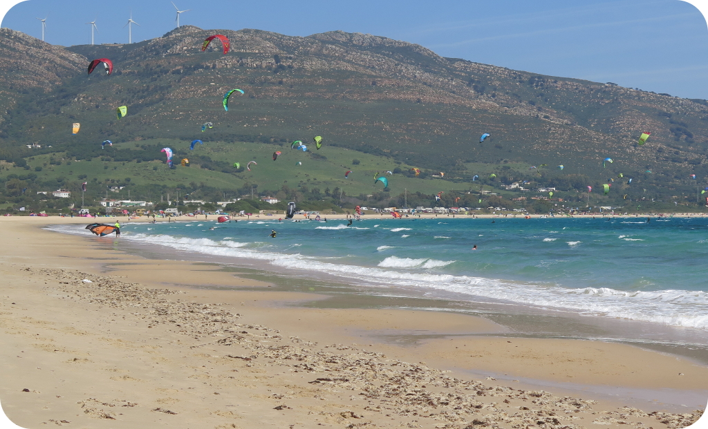 Tarifa